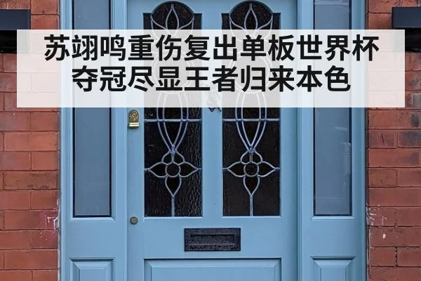 苏翊鸣重伤复出单板世界杯夺冠尽显王者归来本色