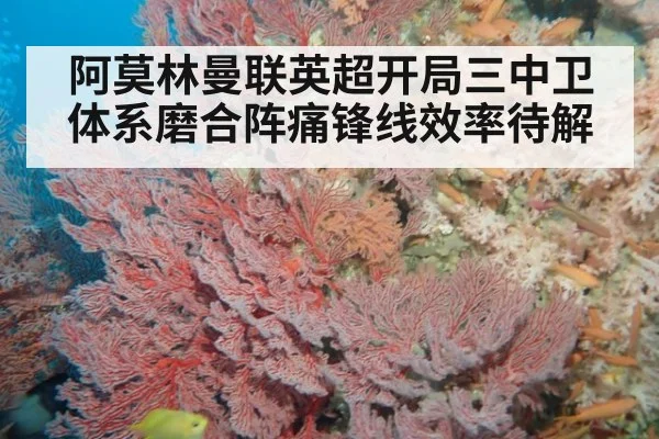 阿莫林曼联英超开局三中卫体系磨合阵痛锋线效率待解